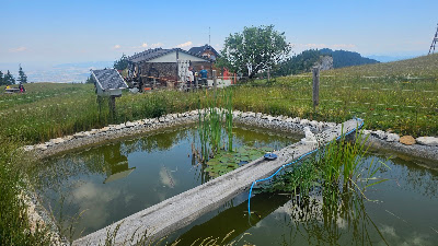 Cabana Piatra Mare — fotografia 4