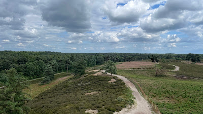 Uitkijktoren De Afferdense Duinen — fotografia 4