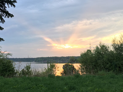 Lacul Cernica — fotografia 3