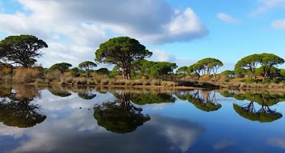 Strofylia National Park