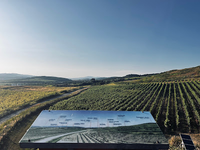 Observation Tower Tokaj — fotografia 4