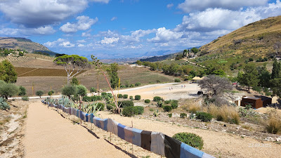 Parco Archeologico di Segesta — fotografia 4