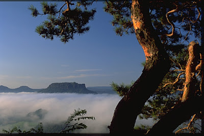 Camping Königstein — fotografia 4