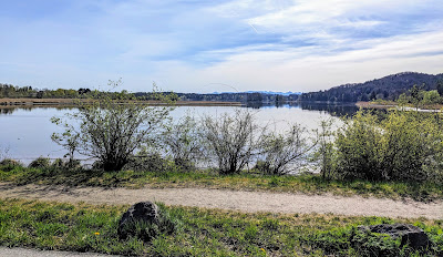 Aussichtspunkt Seehamer See