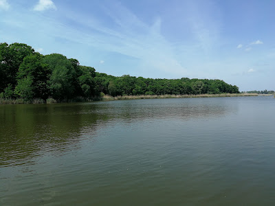 Pădurea Snagov