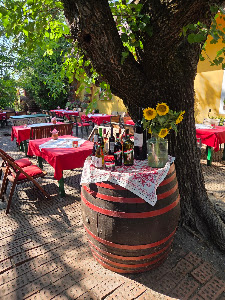 St. Ilona Camping und Restaurant — fotografia 5