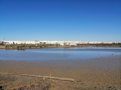 Sendero Caño El Carrascón — fotografia 5