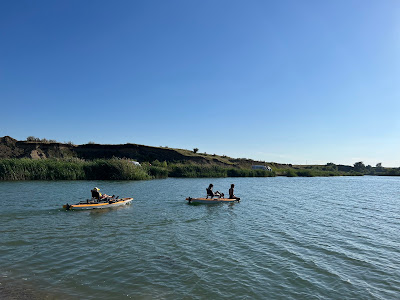 Moby Dick - Camping Park — fotografia 4