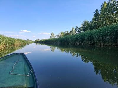 Tisza-tavi csónak túra - HÓD vízitúra Tisza-tó — fotografia 5