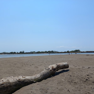 Spiaggia di Porto Caleri — fotografia 4