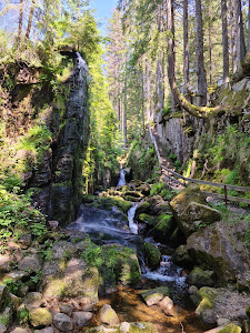 Geißenpfad Menzenschwand — fotografia 5