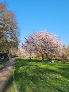 Ostpark — fotografia 5
