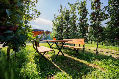 Agricampeggio Ai Prati — fotografia 5