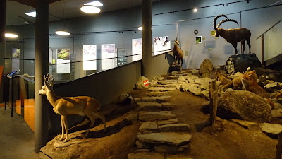 archeoParc Schnalstal - Ötzi Museum — fotografia 4