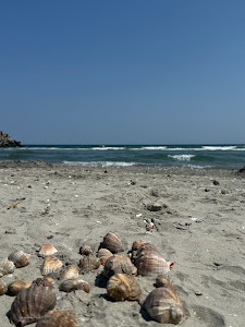 Plaja Cap Midia — fotografia 5