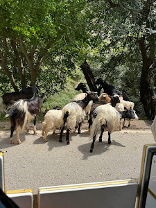 Therisos Gorge — fotografia 5