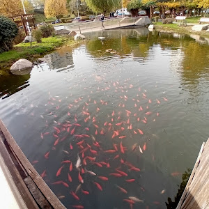 Parc Viva — fotografia 3