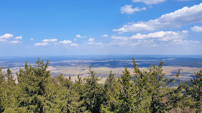 Observation tower Cow Mountain — fotografia 5