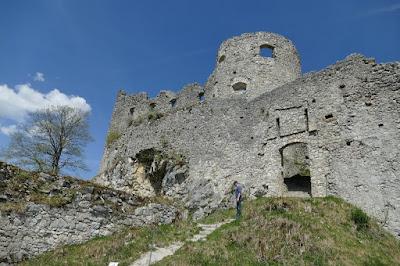Burgruine Ehrenberg — fotografia 4
