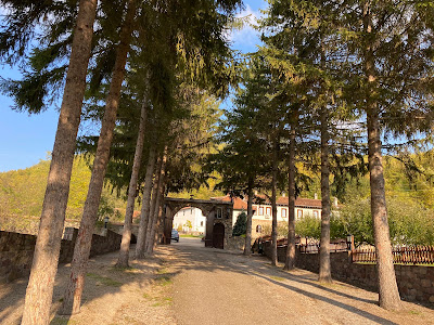 Temska Monastery — fotografia 3