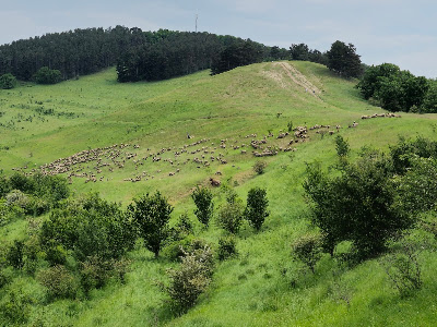 Dealul Lempeș — fotografia 4