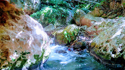 Charco Pataco — fotografia 5