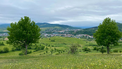 Belvedere Moinești