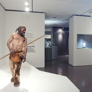 South Tyrol Archeological Museum — fotografia 5