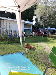Camping Alpirsbach — fotografia 3