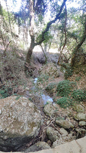 Φαράγγι Περιστεριάς — fotografia 4