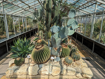 Botanical Garden UPJŠ — fotografia 5