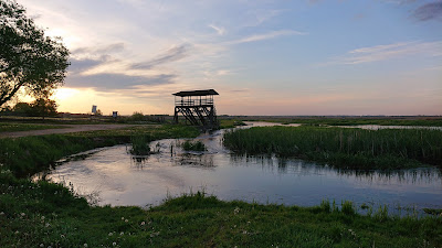 Narew National Park — fotografia 3