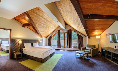 Hot Springs Medical & Spa Hotel — fotografia 3