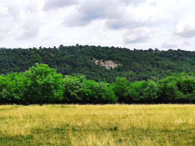 Ördögtorony - kaptárkő — fotografia 5