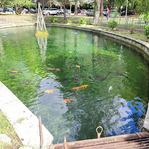 Terme Lucane S.r.l. — fotografia 3