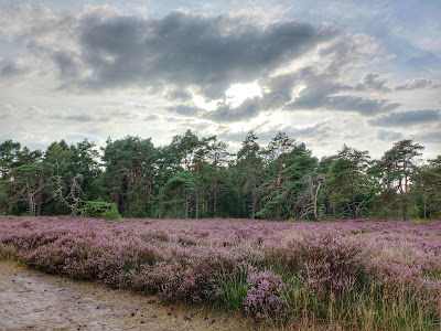 Camping De Hoogte — fotografia 5