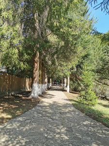Mănăstirea Robaia — fotografia 5