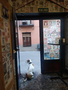Bultaco Bar — fotografia 3