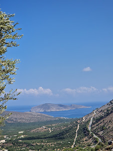 Monumental Olive Tree of Azorias (Kavousi) — fotografia 3