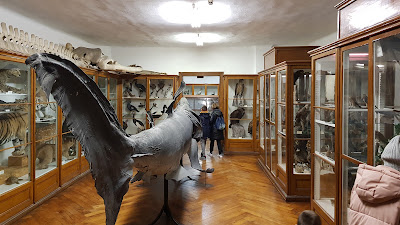 Croatian Natural History Museum — fotografia 5