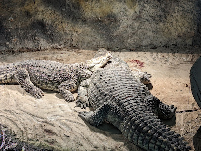 Zoo Zagreb — fotografia 4
