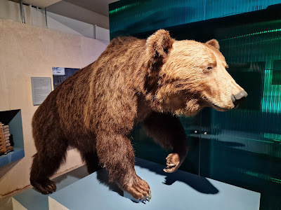 Norwegian Forestry Museum — fotografia 4
