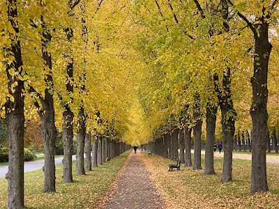 Georgengarten