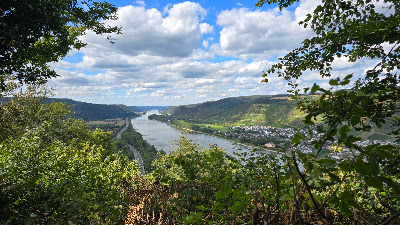 Traumpfädchen Kleiner Stern — fotografia 4