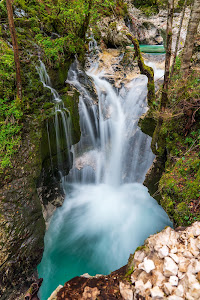 Šunikov vodni gaj — fotografia 3