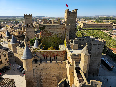 Royal Palace of Olite — fotografia 3