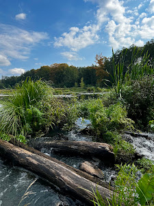 Nature trail "Bobrówka" — fotografia 5