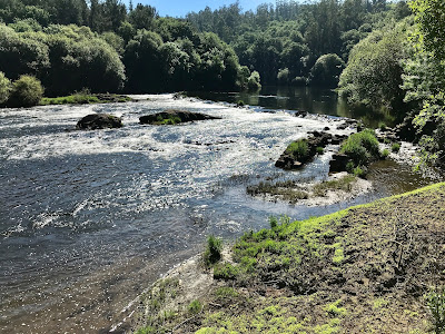 Ruta Cascada Pozo Negro — fotografia 5