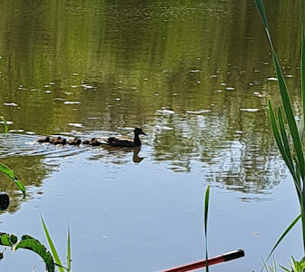 Lac Cercu Barnova