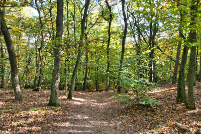Greater Poland National Park — fotografia 5